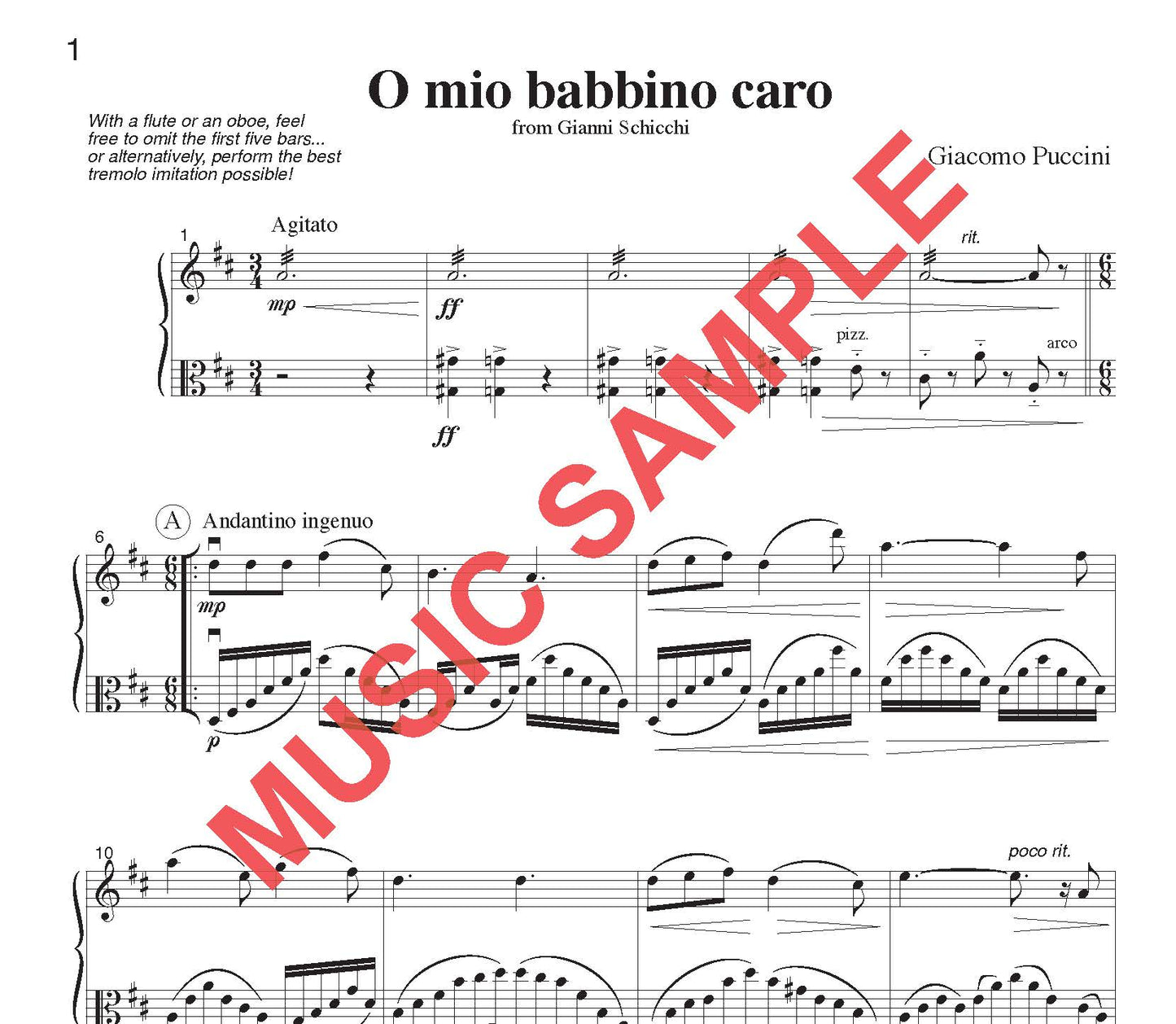 DUET SINGLES: Classical Plus! for Flute or Oboe or Violin & Viola CHOOSE a TITLE!