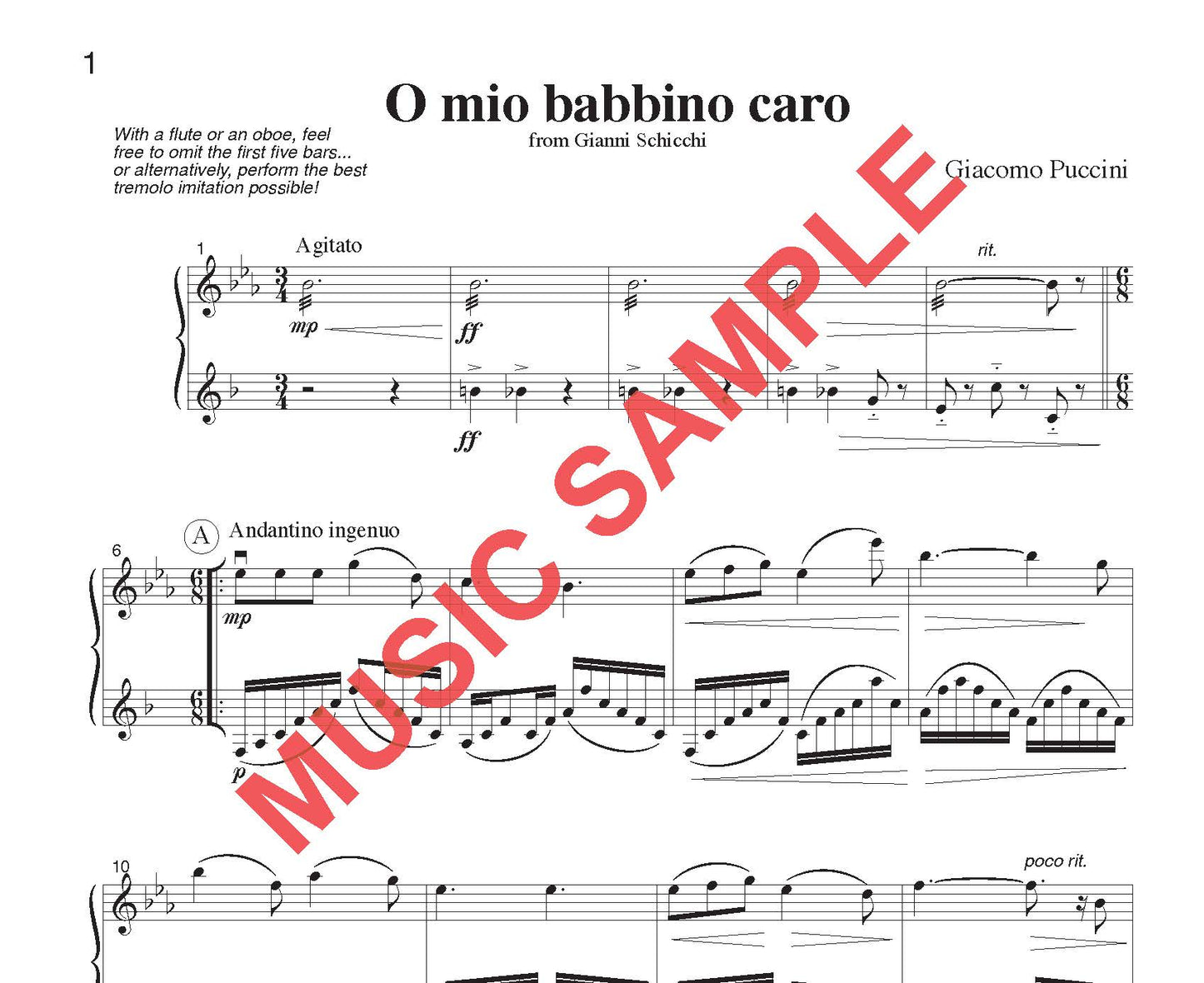 DUET SINGLES: Classical Plus! for Flute or Oboe or Violin & Clarinet CHOOSE a TITLE!