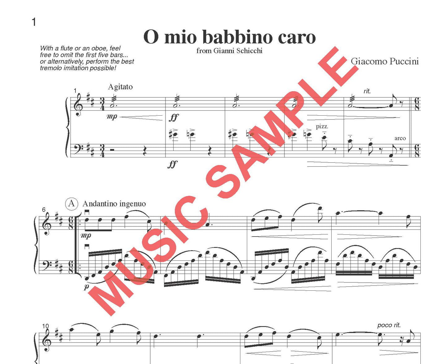 DUET SINGLES: Classical Plus! for Flute or Oboe or Violin & Cello or Bassoon CHOOSE a TITLE! - Last Resort Music Publishing