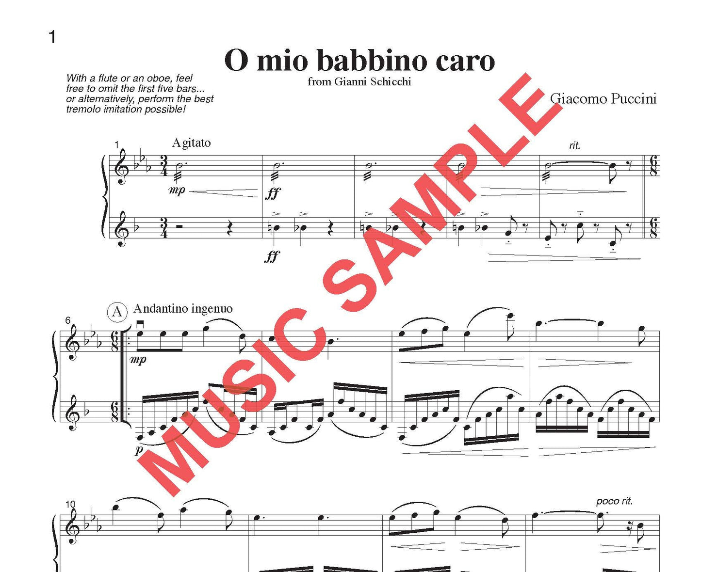 DUET SINGLES: Classical Plus! for Flute or Oboe or Violin & Clarinet CHOOSE a TITLE! - Last Resort Music Publishing