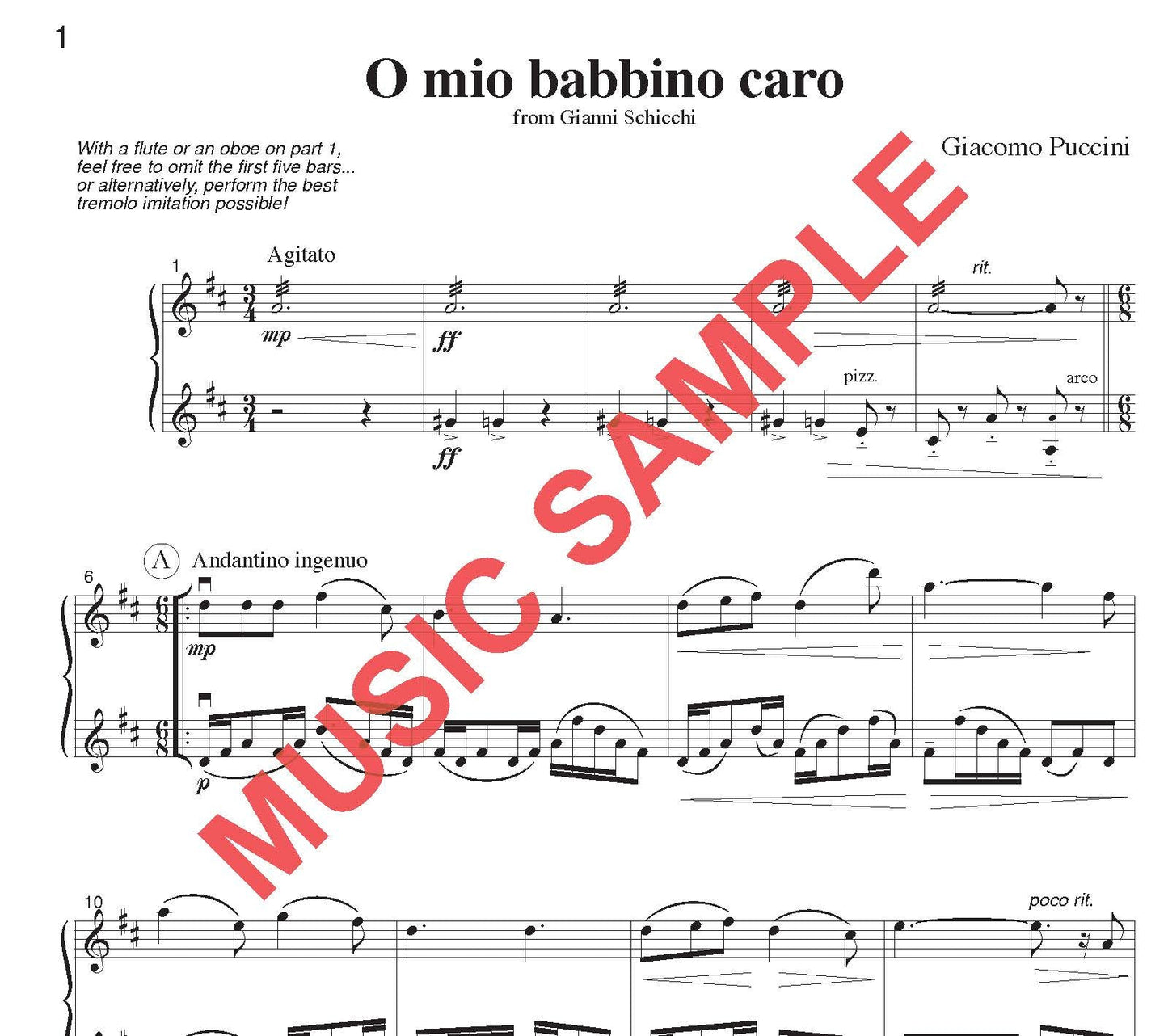 DUET SINGLES: Classical Plus! for Flute or Oboe or Violin & Flute or Oboe or Violin CHOOSE a TITLE! - Last Resort Music Publishing