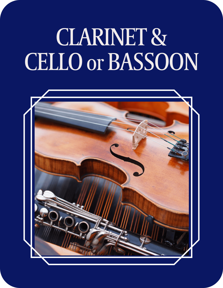 CLARINET & CELLO or BASSOON - Last Resort Music Publishing