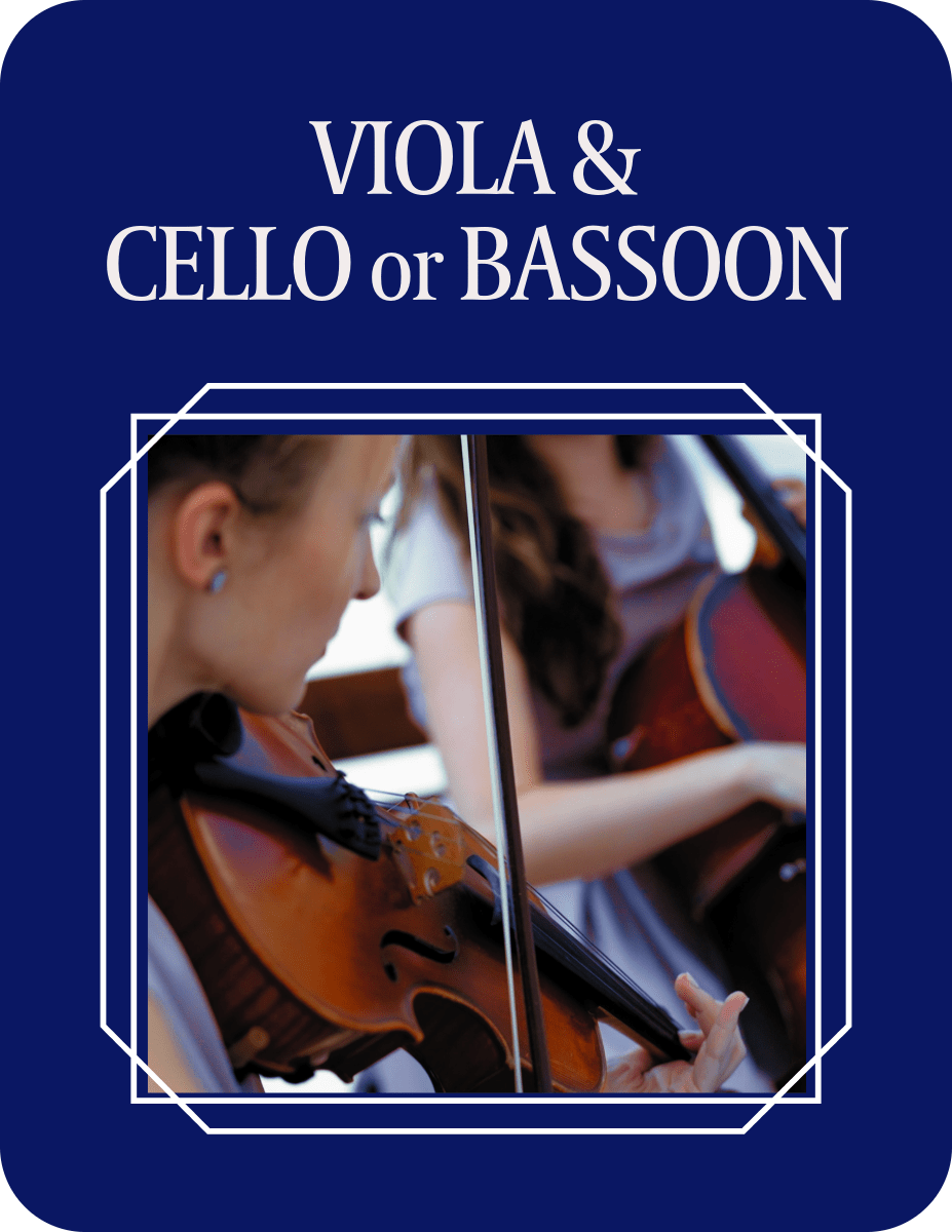 VIOLA & CELLO or BASSOON - Last Resort Music Publishing