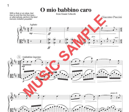 DUET SINGLES: Classical Plus! for Flute or Oboe or Violin & Viola CHOOSE a TITLE!
