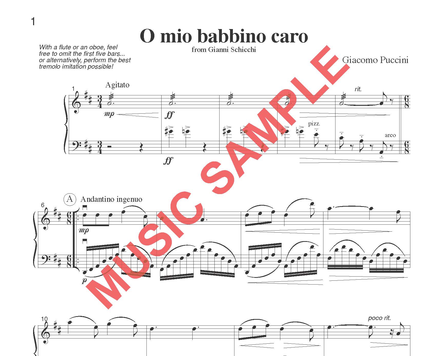 DUET SINGLES: Classical Plus! for Flute or Oboe or Violin & Cello or Bassoon CHOOSE a TITLE! - Last Resort Music Publishing