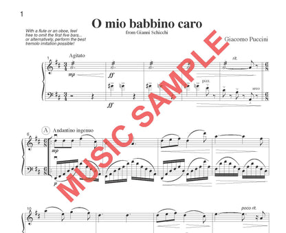 DUET SINGLES: Classical Plus! for Flute or Oboe or Violin & Cello or Bassoon CHOOSE a TITLE! - Last Resort Music Publishing