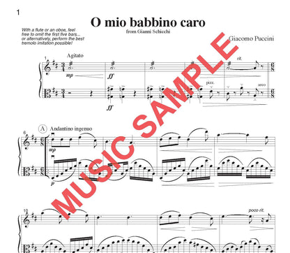 DUET SINGLES: Classical Plus! for Flute or Oboe or Violin & Viola CHOOSE a TITLE! - Last Resort Music Publishing