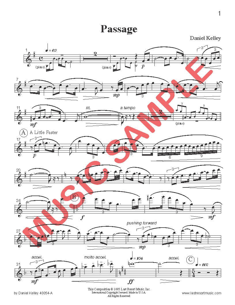 Two Concert Works (Passage & Suite) for Piccolo and Piano - Last Resort Music Publishing